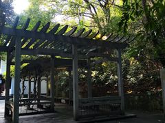 -杭州半山国家森林公园