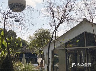 杭州新店｜森林里的西餐厅来享受冬日暖阳