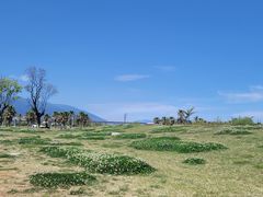 -大理洱海
