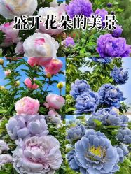 -产后帮产后修复(首城国际店)