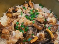 -红星光发煲仔饭(文海店)