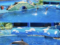 -海合安成都极地海洋公园