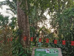 -海南热带野生动植物园