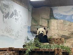 -无锡动物园·太湖欢乐园