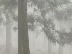 -东天目山风景区