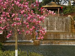 -成飞公园