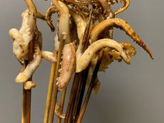 烤鱿鱼须-木屋烧烤(西城天桥店)
