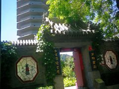 -华天新川面馆(缸瓦市店)