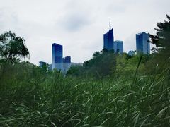 -天鹅湖体育公园
