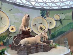 -陕西自然博物馆