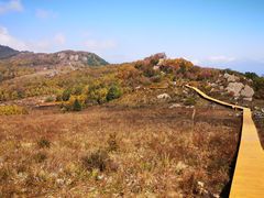 -白草畔自然风景区
