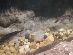 -中国湿地博物馆