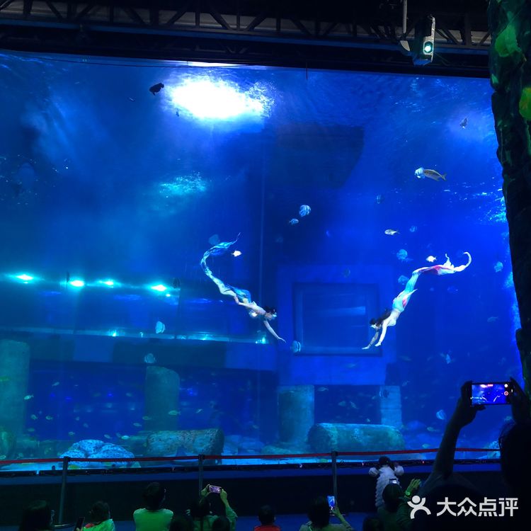 亲子首选👉🏻正佳极地海洋世界
