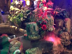 -醉小酒馆·川菜·江湖菜·重庆菜(观音桥旗舰店)