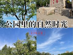-泰丰公园