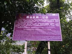 -靖西鹅泉风景区