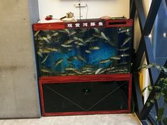 -肆月河豚·新淮扬(金融街店)