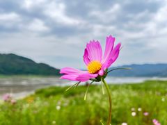 -木洞河街