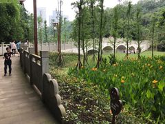 -重庆彩云湖湿地公园