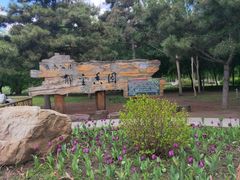 -长春公园(普阳街道)