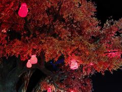 -中华郡文化旅游景区