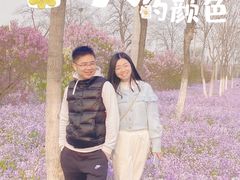 -北京上方山国家森林公园