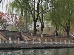 -皇家御河游(紫御湾码头)