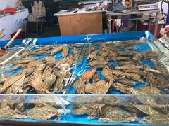 -顺鑫石门市场