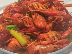 -杨氏青龙虾·羊蝎子(托乐嘉店)