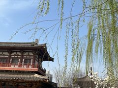 -西安青龙寺遗址景区