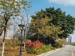 -广东花都湖国家湿地公园