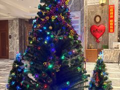 -弘安丽水温泉酒店