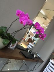 -意廊 Hair Salon
