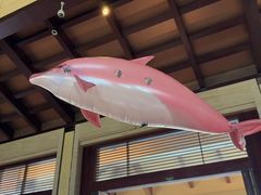 -惠州金海湾嘉华度假酒店