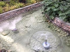 餐饮设施-南宫五洲植物乐园