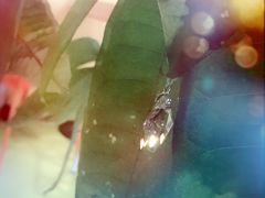 -RoMan罗马健身工作室(莘庄店)