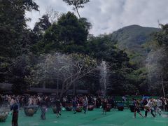 -西双版纳原始森林公园