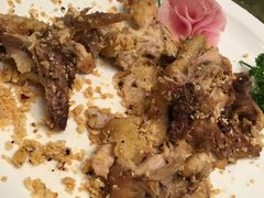 大漠风沙鸡-田园小观园(武大店)