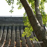 春色正好,游客不少。疫情前只有附近居民饭后来遛达