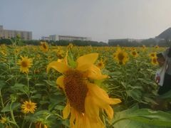 -南京信息职业技术学院