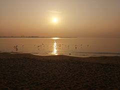 -金梦海湾浴场