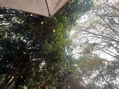 -南山植物园