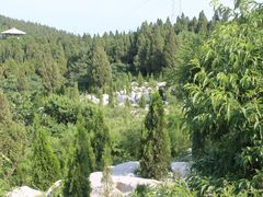 -原山国家森林公园