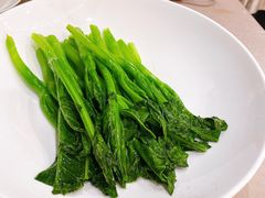 -食神鱼头佛跳墙(百子湾旗舰店)