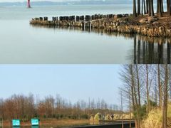 -长广溪湿地公园