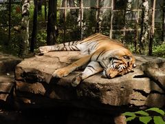 -哈尔滨北方森林动物园