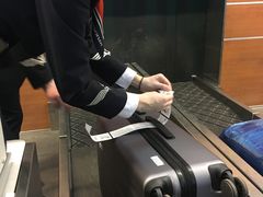 -谢列梅捷沃国际机场