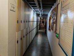 -道顺射箭·团建·骑射(张杨路店)