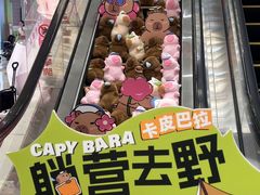 -石狮世茂摩天城摩天轮