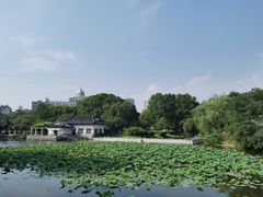 -范蠡湖公园